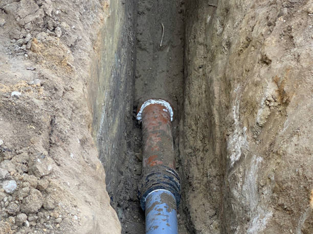 Best Professional water damage repair  in Westchester, IL