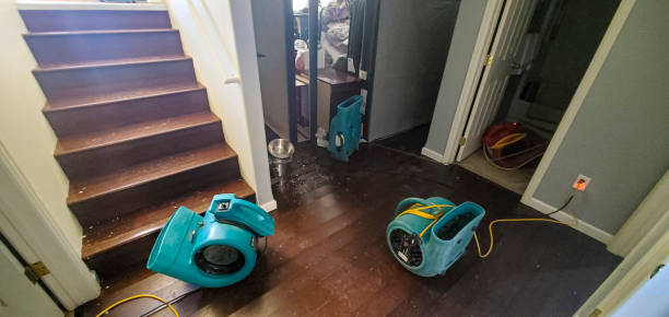 Best Fire Damage Restoration  in Westchester, IL