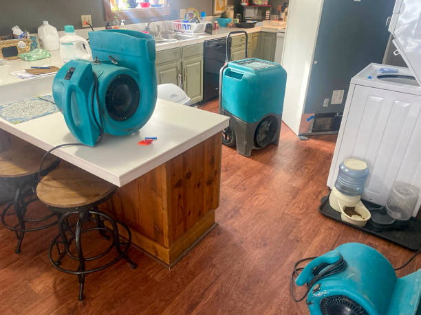 Best Water damage contractors near me  in Westchester, IL