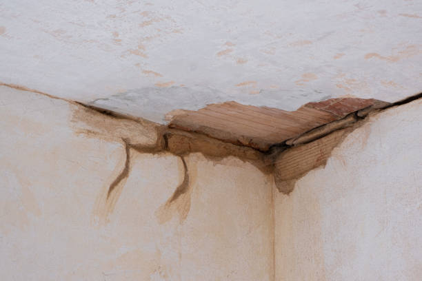 Best Sewage cleanup and water damage restoration  in Westchester, IL