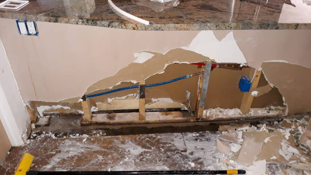 Best Ceiling water damage repair  in Westchester, IL