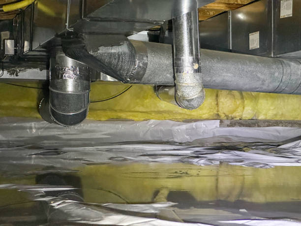 Best Basement water damage restoration  in Westchester, IL