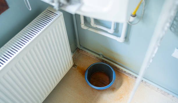 Best Flood restoration services  in Westchester, IL