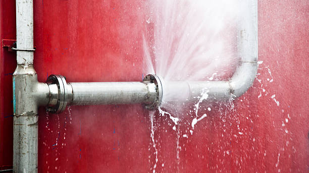 Best Carpet water damage restoration  in Westchester, IL